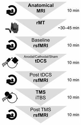 Preconditioning prefrontal connectivity using transcranial direct current stimulation and transcranial magnetic stimulation